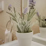 Baia Villa1 * 加利波利