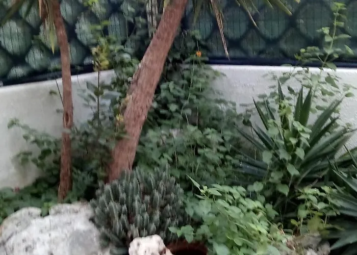 Baia Villa1 펜션